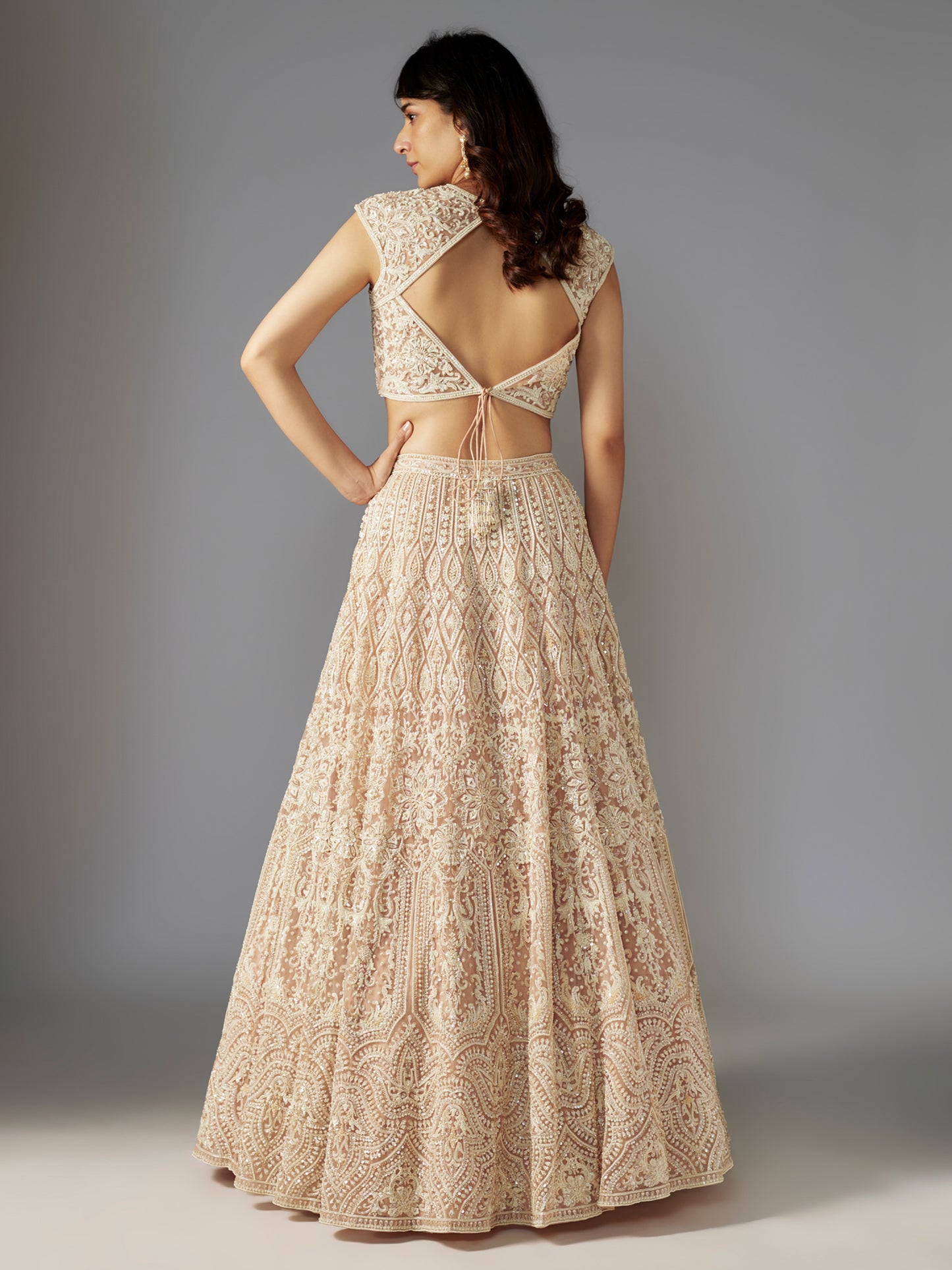 Nude Mandala Net Embroidered Lehenga Set