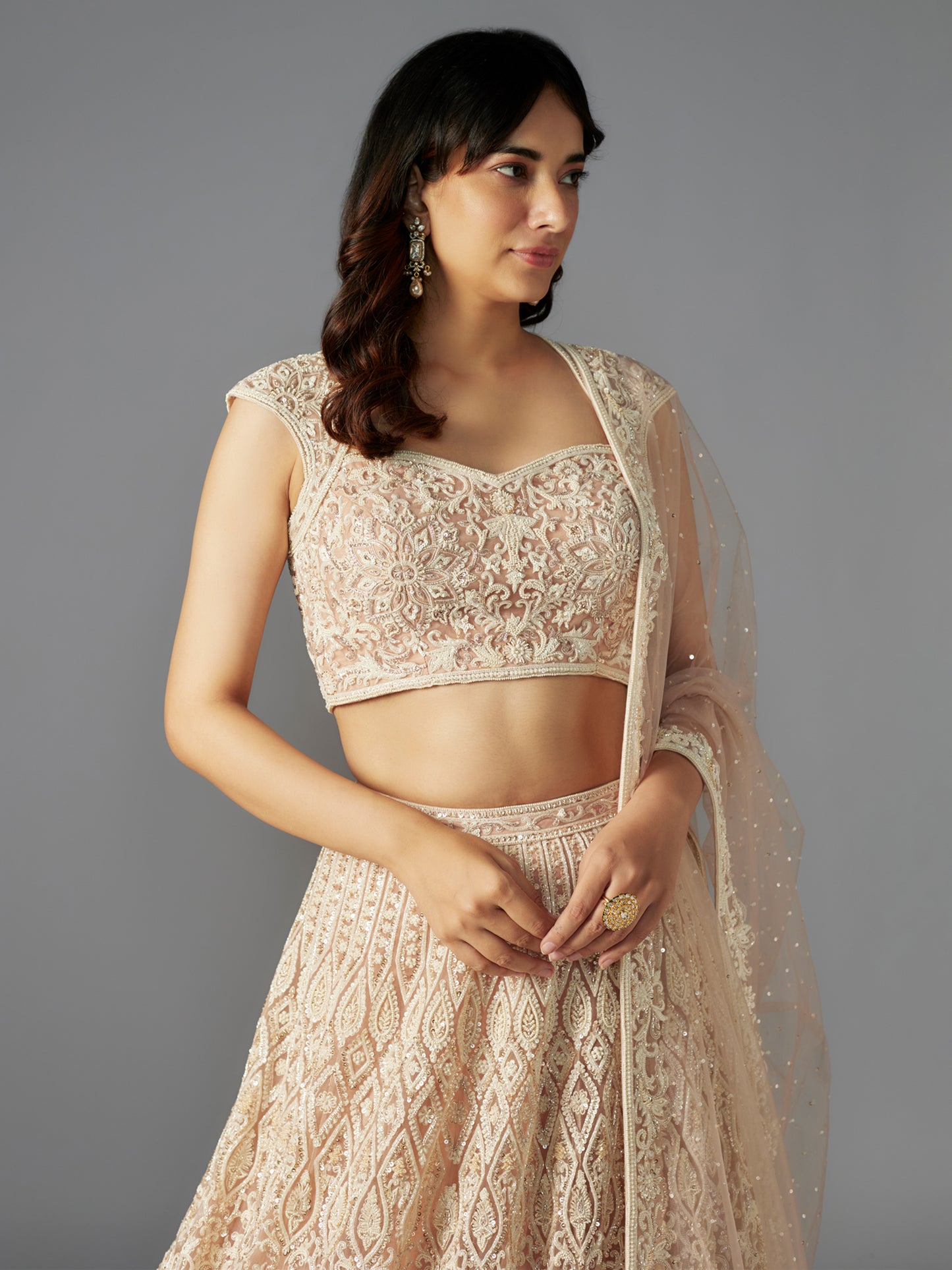 Nude Mandala Net Embroidered Lehenga Set