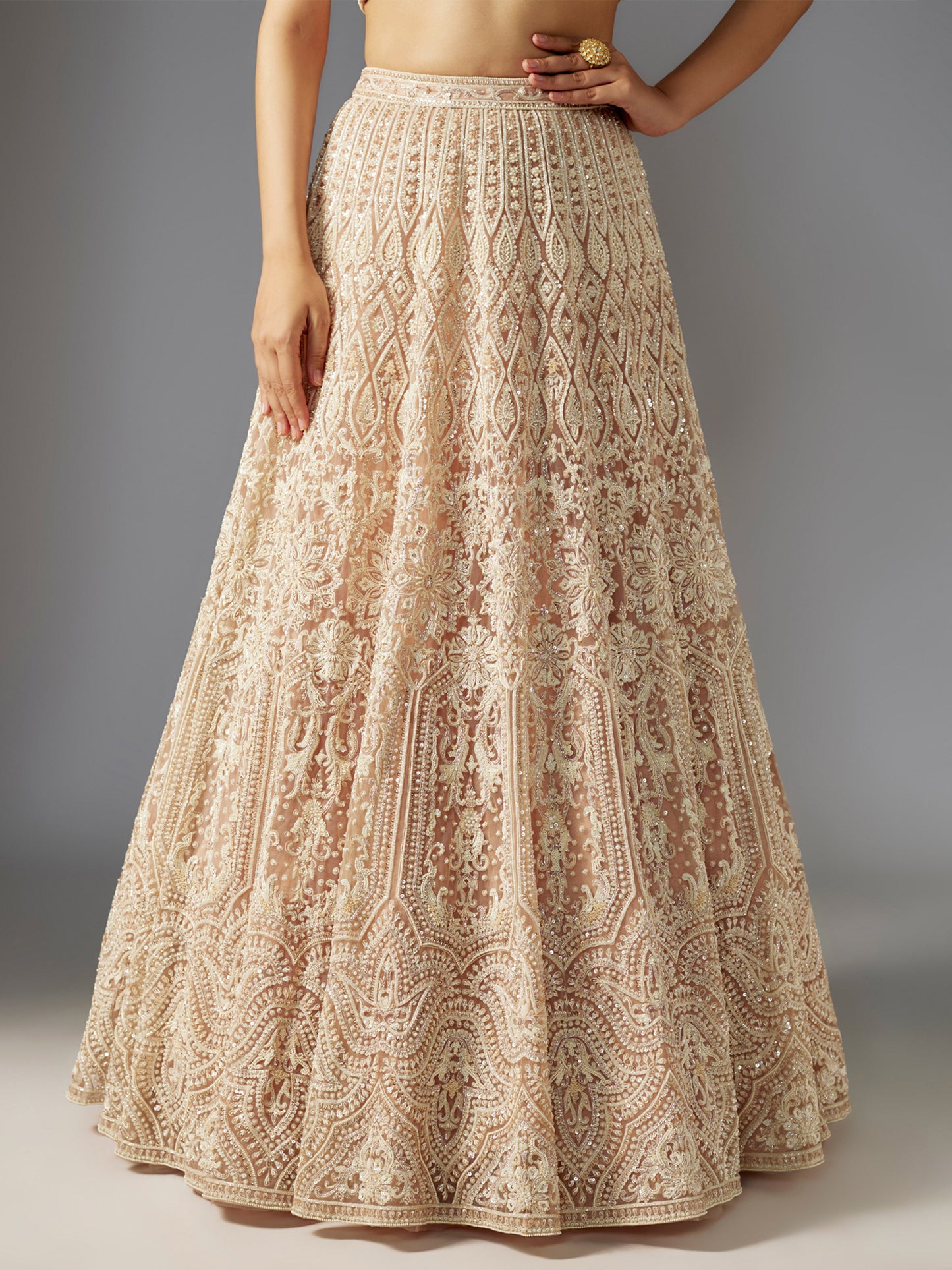Nude Mandala Net Embroidered Lehenga Set