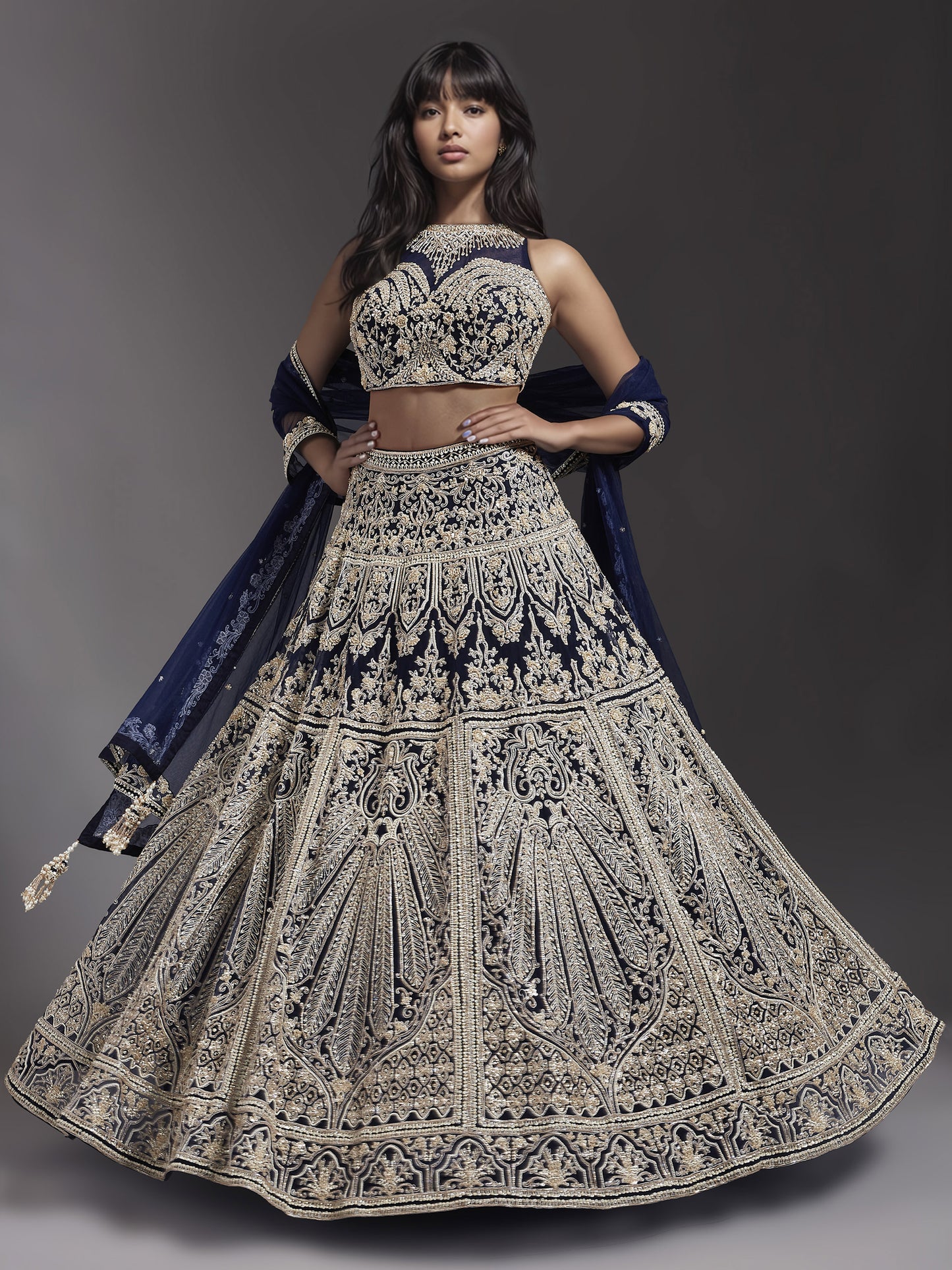 Navy Embroidered Net Lehenga Set