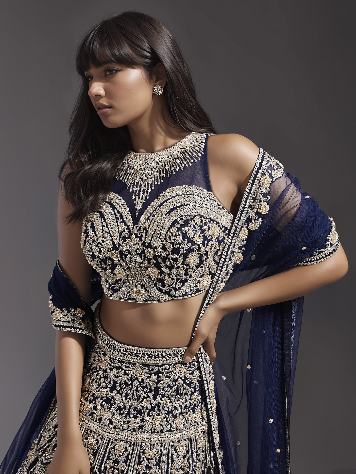 Navy Embroidered Net Lehenga Set