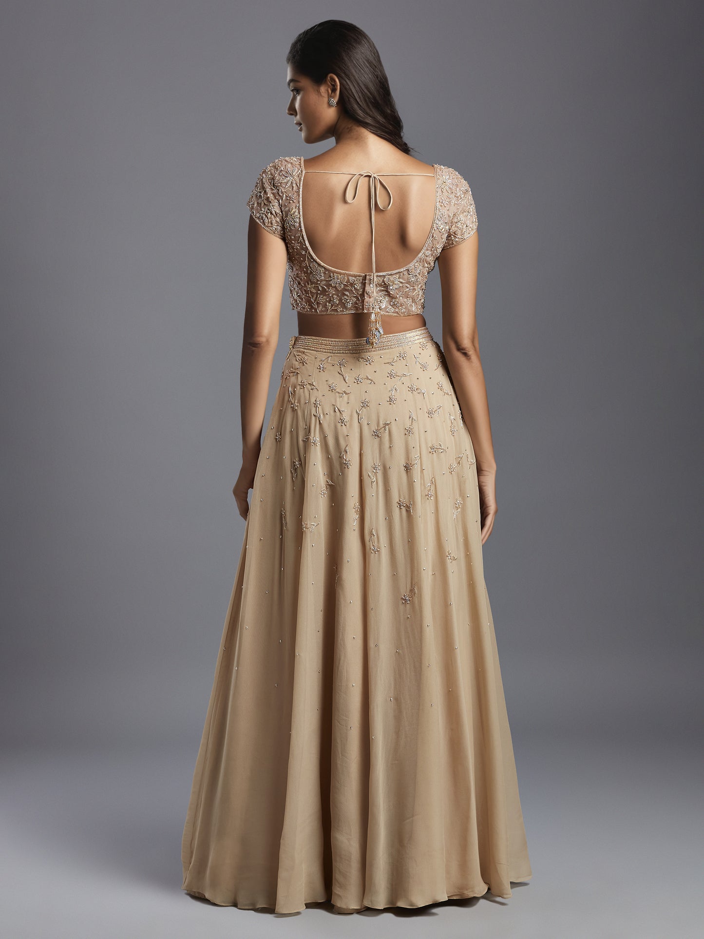 Nude Holo Embroidered Georgette Lehenga Set with Dupatta