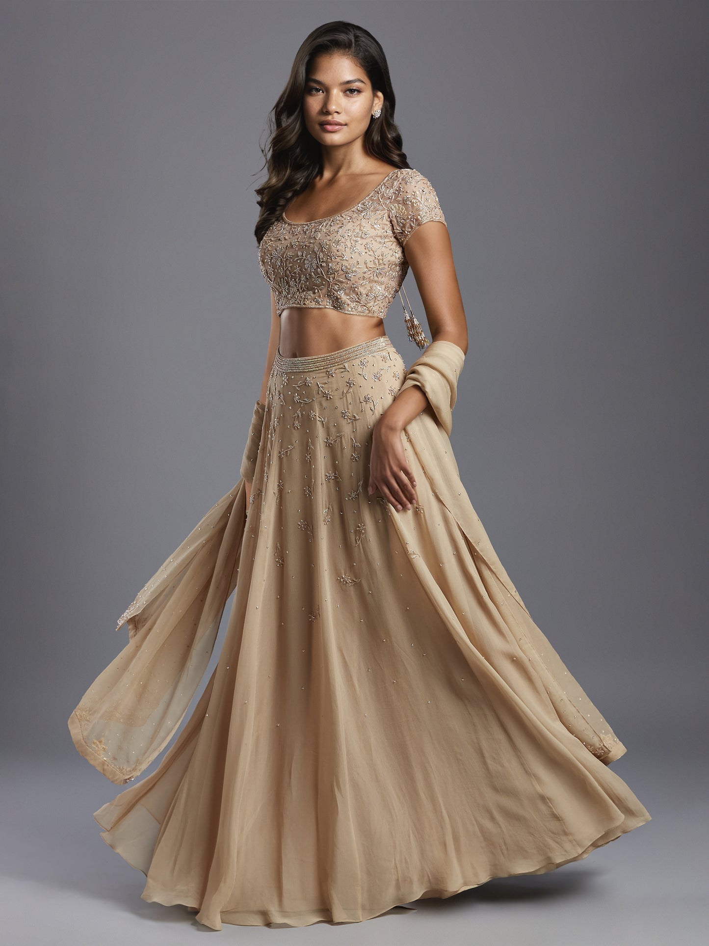 Nude Holo Embroidered Georgette Lehenga Set with Dupatta