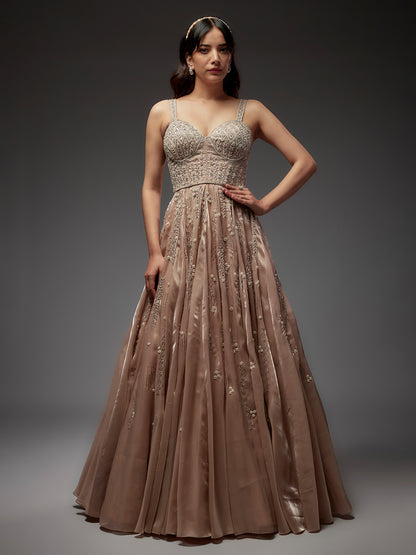Gold Hand Embroidered Tissue Gown