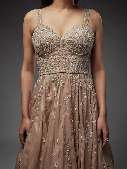 Gold Hand Embroidered Tissue Gown