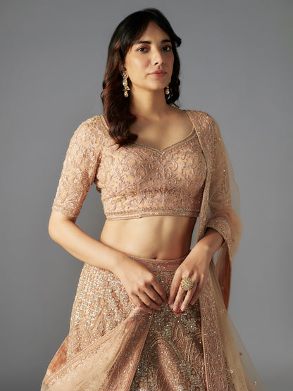 Nude Hand Embroidered Lehenga Set