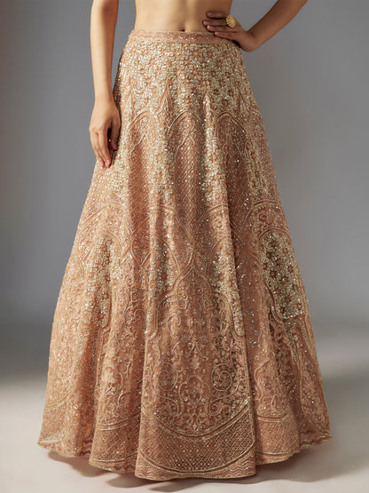 Nude Hand Embroidered Lehenga Set