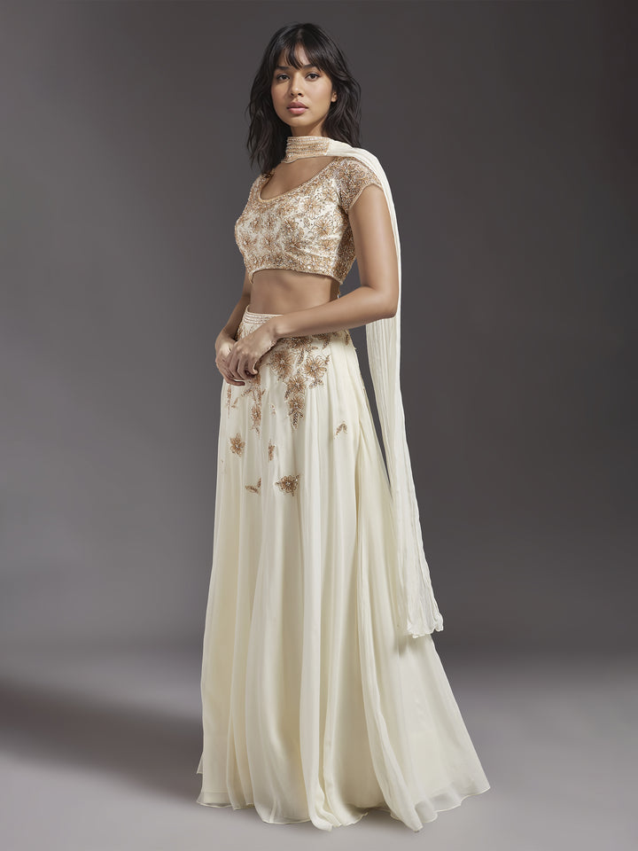 Ivory Net Light Embroidered Floral Lehenga Set with Choker