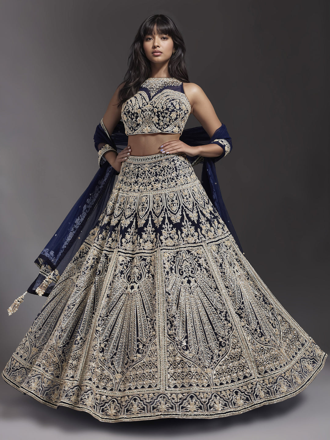 Navy Embroidered Net Lehenga Set