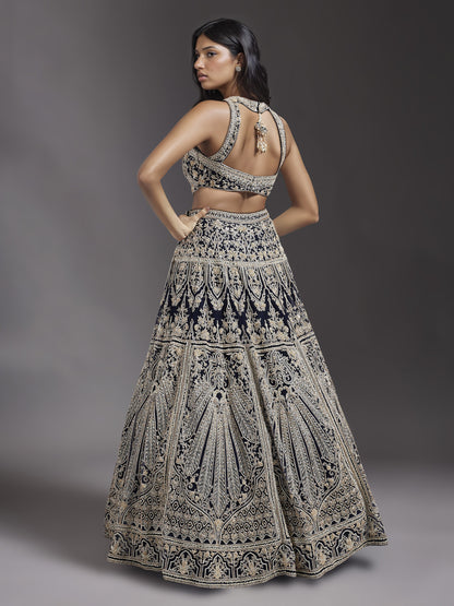 Navy Embroidered Net Lehenga Set