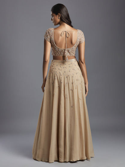 Nude Holo Embroidered Georgette Lehenga Set with Dupatta