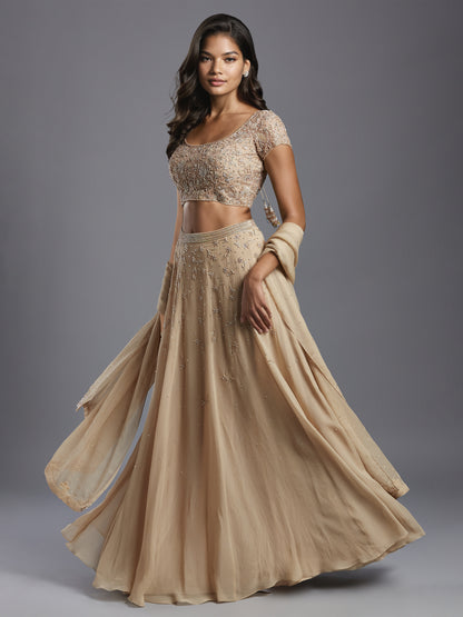 Nude Holo Embroidered Georgette Lehenga Set with Dupatta